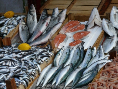 fish 1376474 400x300 - «Оставьте малый бизнес в покое!» - ТПП Югры вступилась за предпринимателей в «рыбном» вопросе