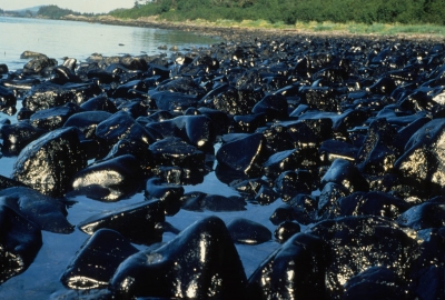 acidente Exxon canla da preven o 400x270 - Экологическое ЧП: в Югре природный парк «Кондинские озера» залило нефтью