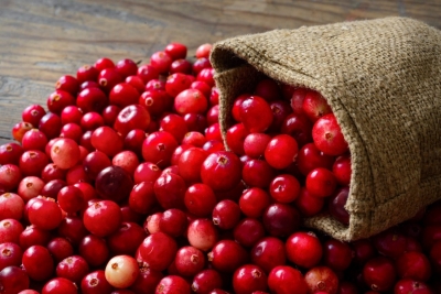 the health benefits of cranberries by greenblender bag 400x267 - Дикая ягода – уже не дикая: в Югре появилась первая плантация клюквы