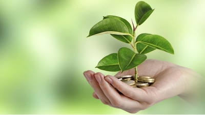 grants 400x226 - Новый экологический налог коснется даже индивидуальных предпринимателей