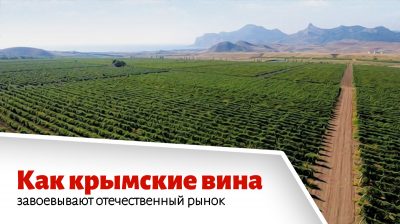 nb №017 vine0000 400x224 - Как крымские вина завоевывают отечественный рынок
