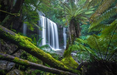 russell falls mount field national park tasmania australia 1 400x255 - В Югре построят тропический парк с водопадами к 2024 году