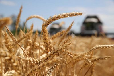 65bda1bba218580310245ce2dcba87fc03135eec 1500 400x267 - Третья страна ЕС прекратила импорт зерна с Украины